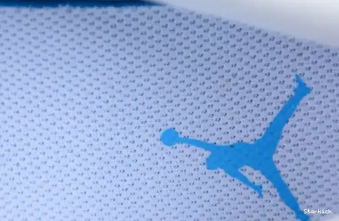 Reverse SE Low Jordan Ice DV1299-104 Blue 1 0626